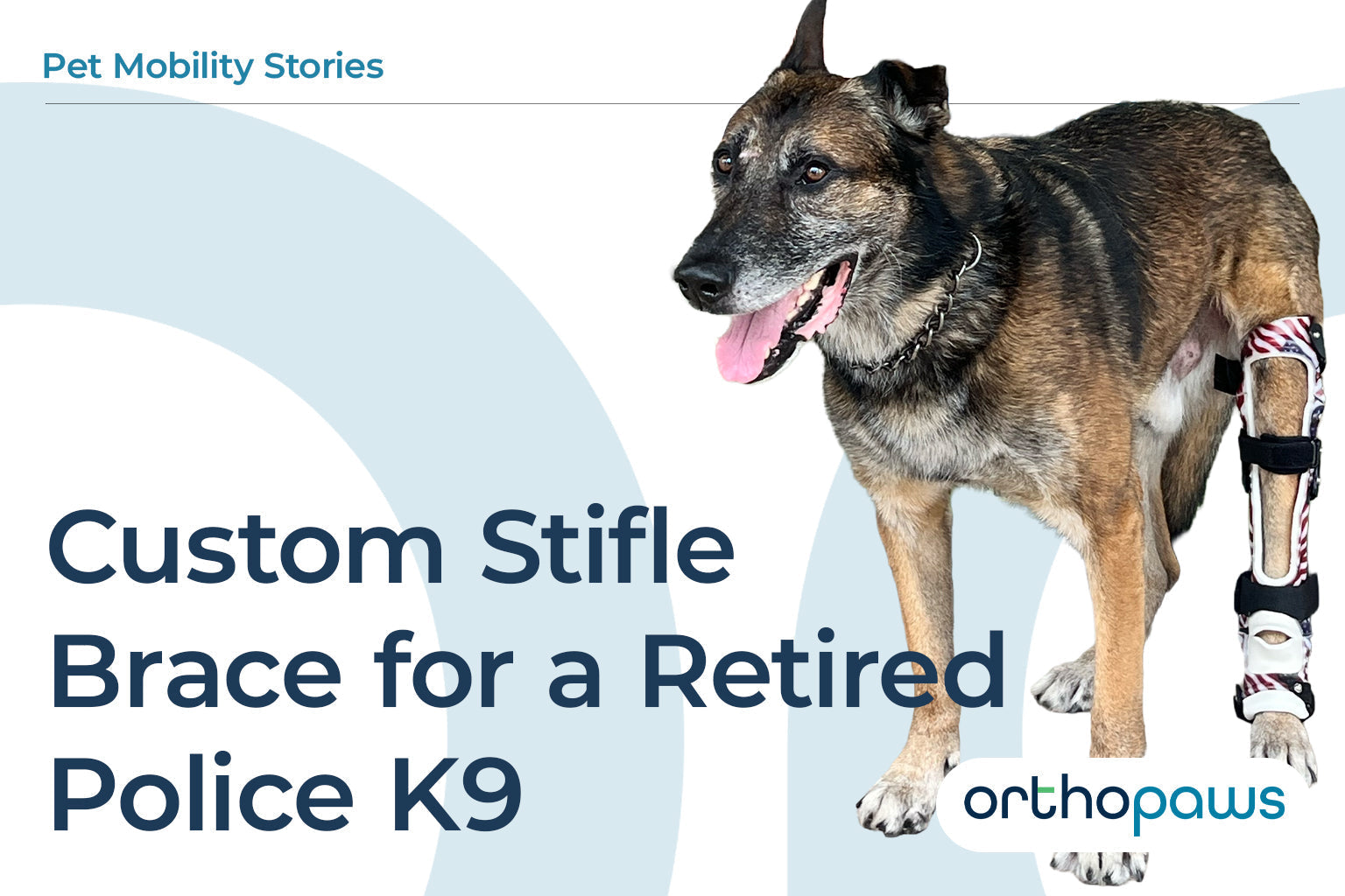 Custom Stifle Brace for a Retired Police K9: Jagger's Story