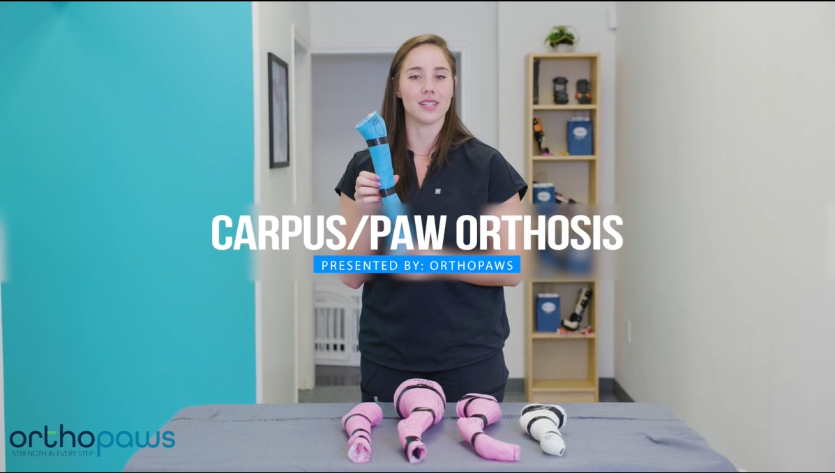 OrthoPaws LLC