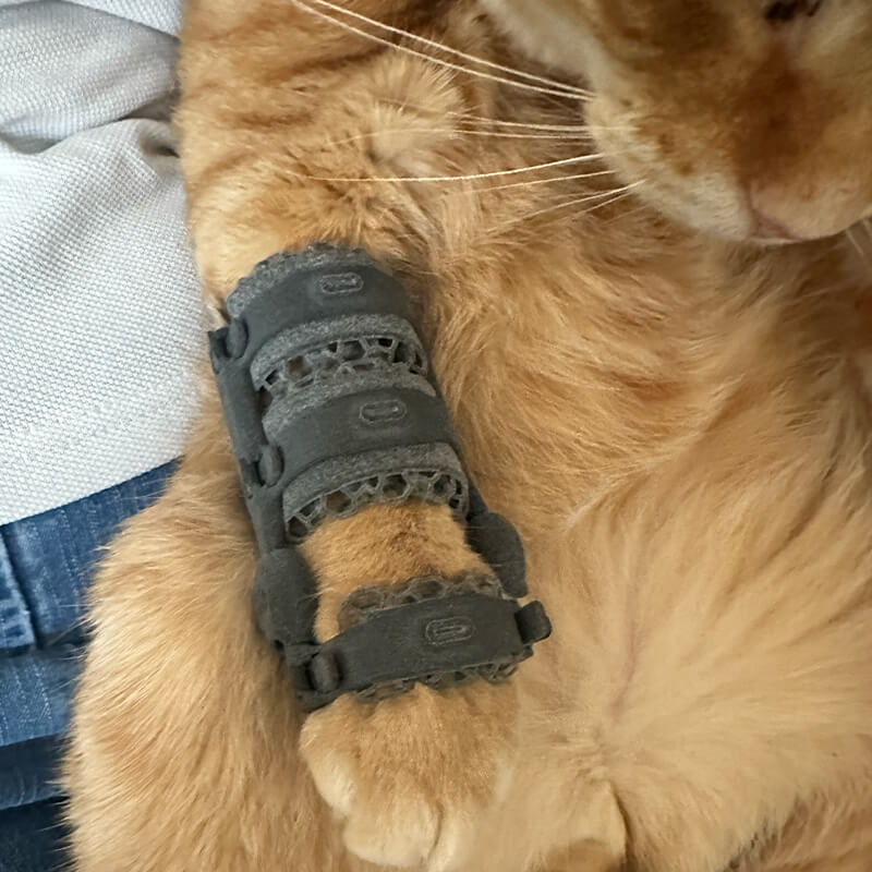Cat Orthotics About Us