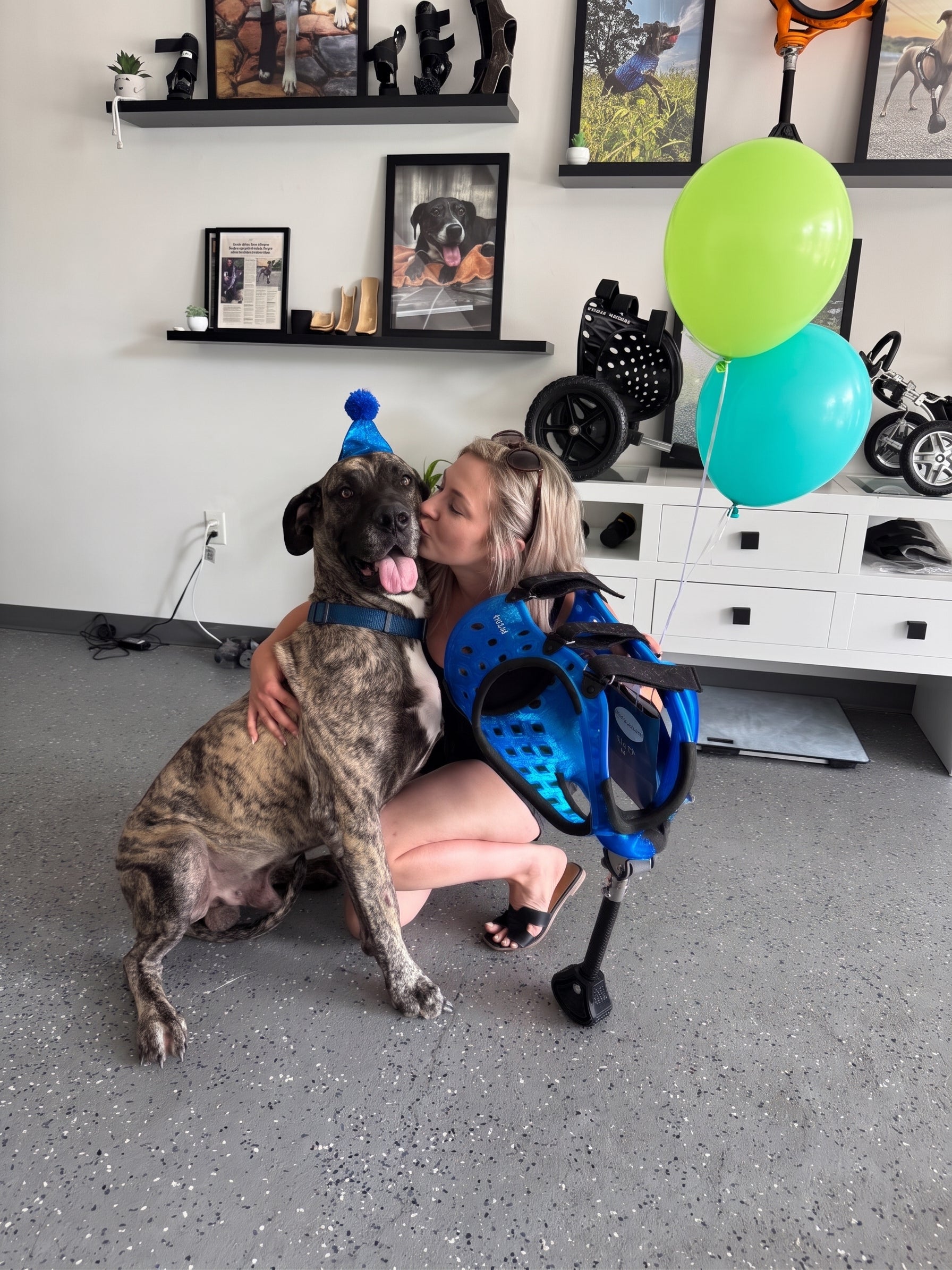 A large brindle dog in a blue party hat sits close as a woman kisses its cheek and holds a blue custom prosthetic leg.