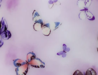 Purple Butterfly