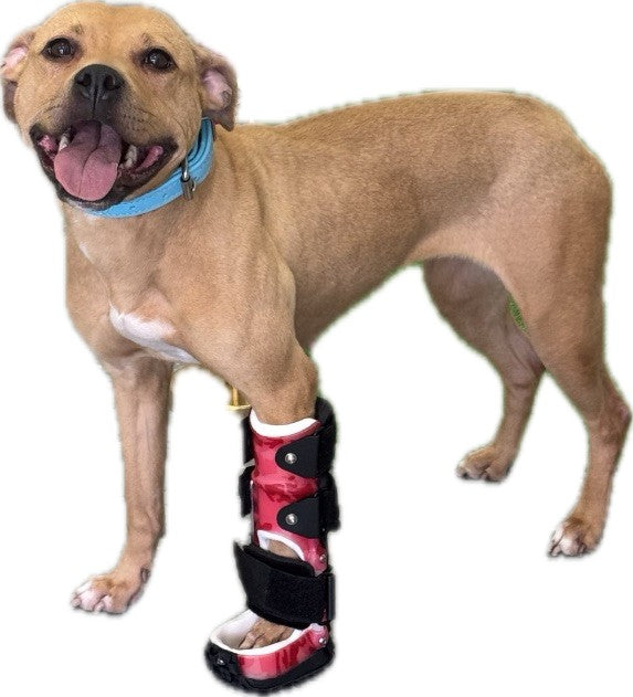 Carpal